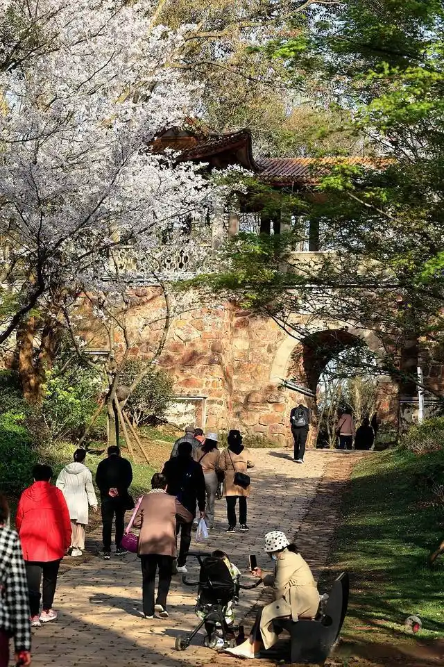 鼋头渚最佳游览路线_无锡鼋头渚旅游攻略_避开人群游览鼋头渚攻略