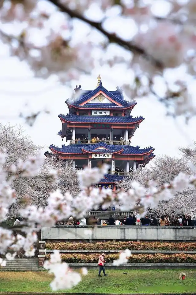无锡鼋头渚旅游攻略_避开人群游览鼋头渚攻略_鼋头渚最佳游览路线