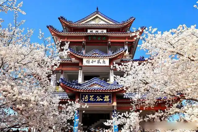 避开人群游览鼋头渚攻略_无锡鼋头渚旅游攻略_鼋头渚最佳游览路线