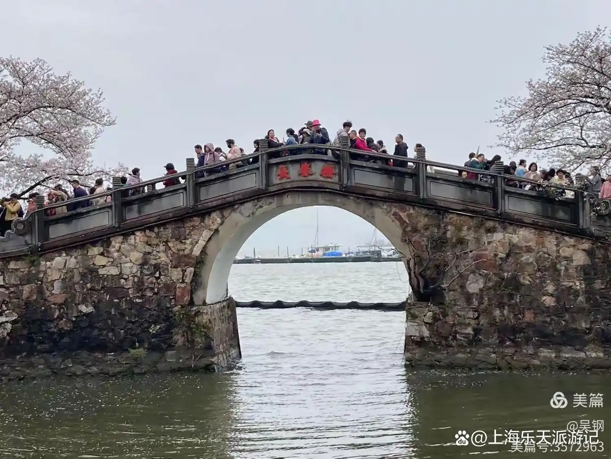 鼋头渚樱花一日游行程_无锡鼋头渚旅游攻略_鼋头渚樱花拍照攻略