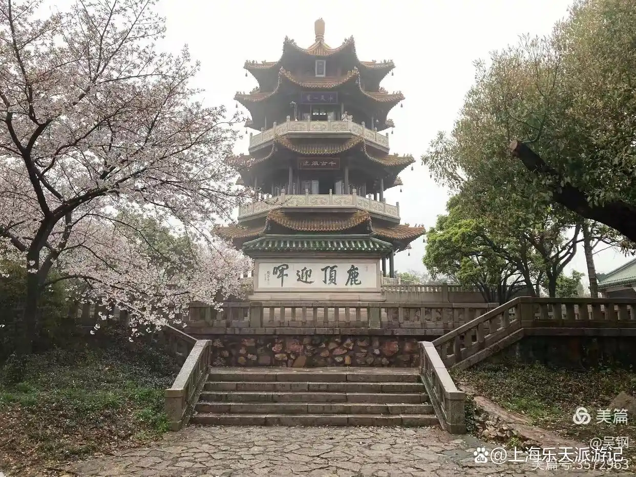 鼋头渚樱花一日游行程_无锡鼋头渚旅游攻略_鼋头渚樱花拍照攻略