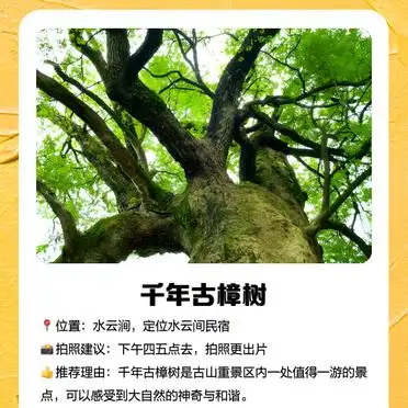 漳州长泰旅游攻略_漳州长泰石桥景点推荐_漳州长泰古民居旅游攻略