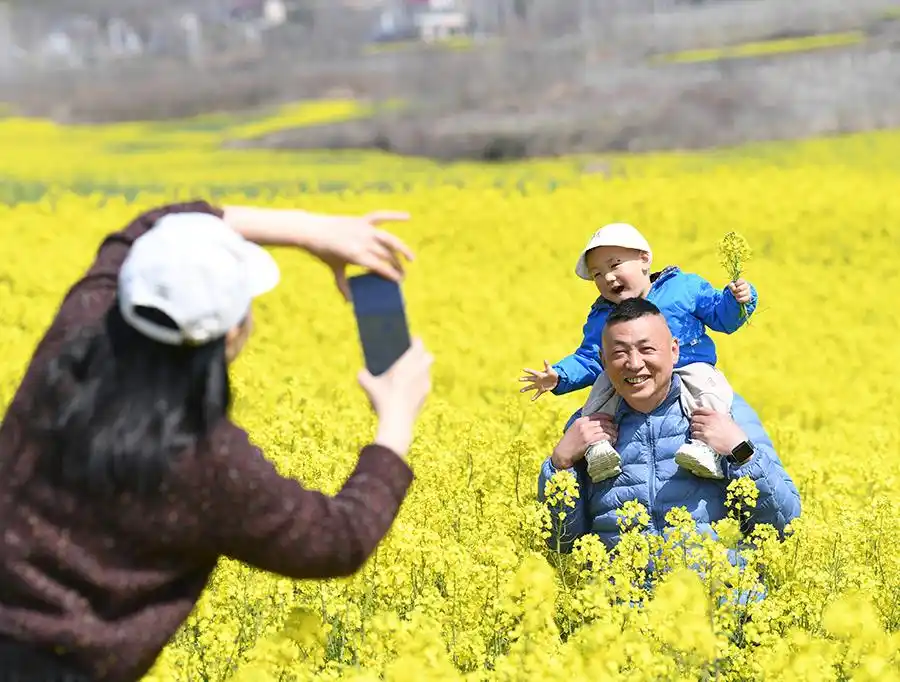春季南通旅游攻略_春日出游攻略_赏花踏青地图