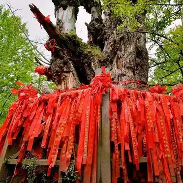 平乐古镇1.5h避暑玩法_成都平乐古镇避暑攻略_邛崃平乐古镇旅游攻略