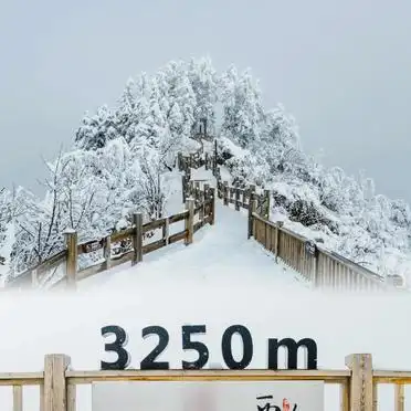 2026西岭雪山旅游攻略_游玩路线攻略_西岭雪山春日雪景攻略