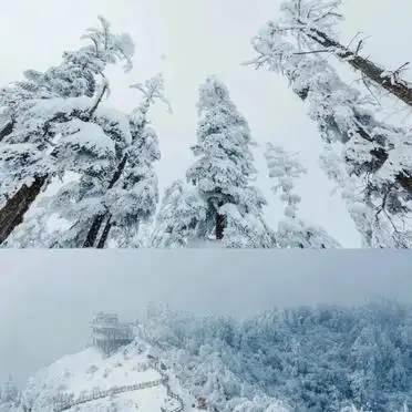 游玩路线攻略_2026西岭雪山旅游攻略_西岭雪山春日雪景攻略