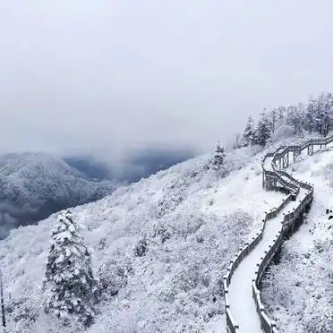 游玩路线攻略_2026西岭雪山旅游攻略_西岭雪山春日雪景攻略