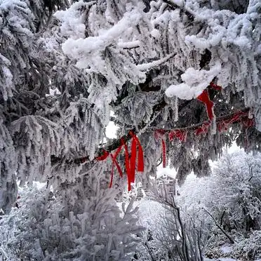 
_衡山旅游攻略_冬季衡山旅游攻略