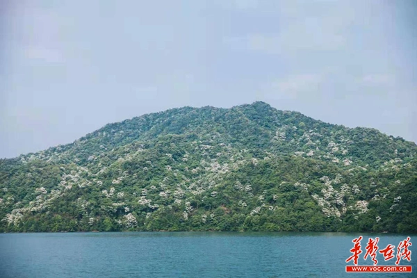 株洲酒埠江旅游攻略_酒埠江水库今昔对比_酒仙湖景区旅游攻略