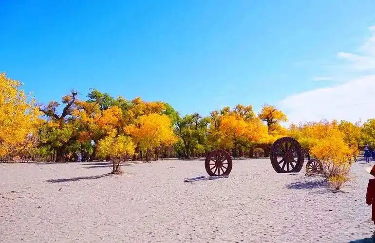 北京自驾额济纳旗旅游攻略_胡杨林最佳观赏时间_额济纳旗胡杨林自驾攻略