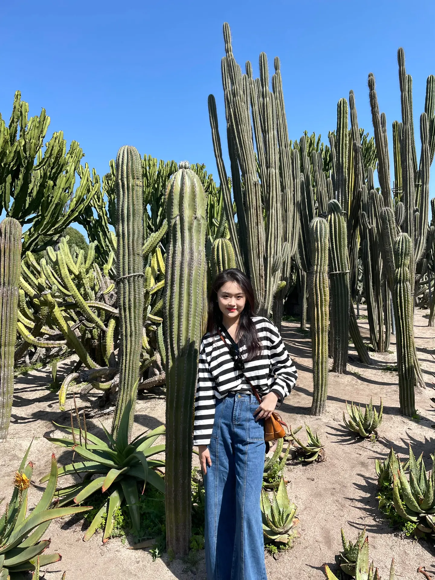 厦门导游欣欣行程安排_厦门四天三夜旅游攻略_厦门5天4晚旅行团