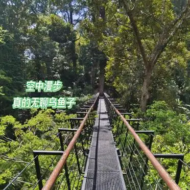 True/Happy电话卡落地签申请表_<strong>普吉岛攻略</strong>必备物品清单_普吉岛旅游攻略 签证
