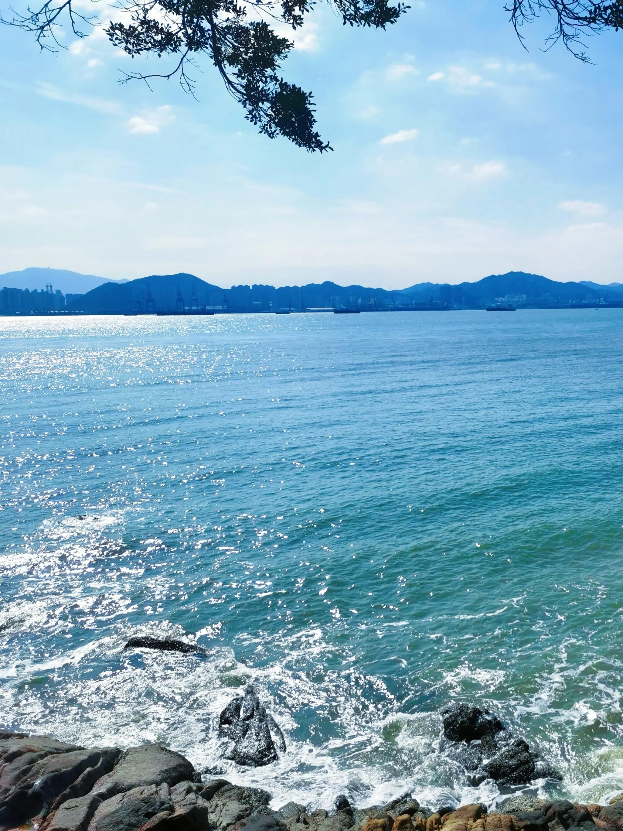 厦门金牌导游推荐_厦门四天三夜行程规划_厦门四天三夜旅游攻略