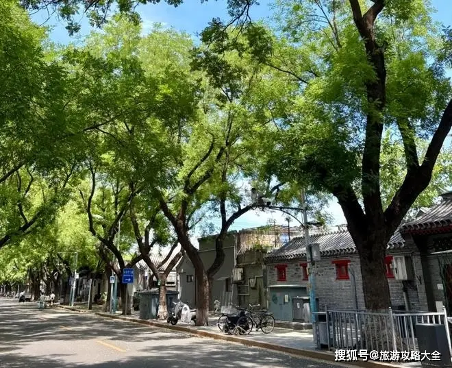 北京旅游攻略_北京当地导游小林_北京旅游攻略四日游