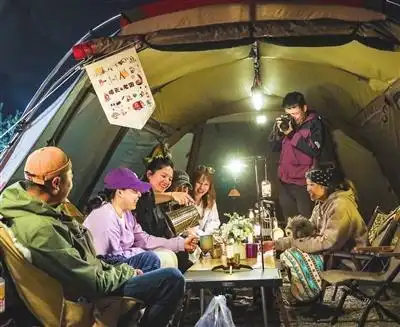 天津花节活动_天津 旅游 攻略_天津赏花旅游