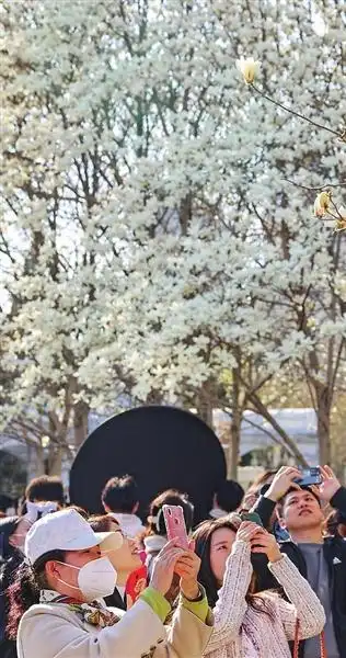 天津赏花旅游_天津 旅游 攻略_天津花节活动