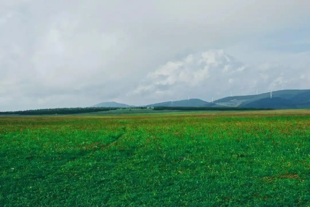 空中草原旅游攻略_飞狐峪空中草原_河北蔚县空中草原,飞狐峪,小五台旅游攻略