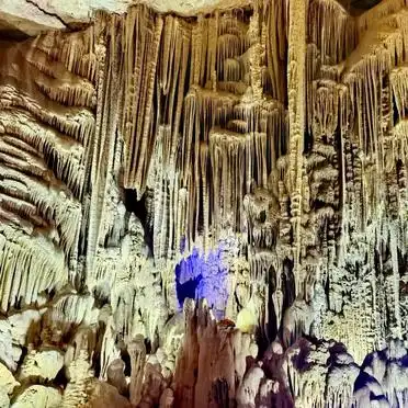 贵阳到织金洞交通攻略_织金洞旅游攻略_织金洞世界地质公园游览路线
