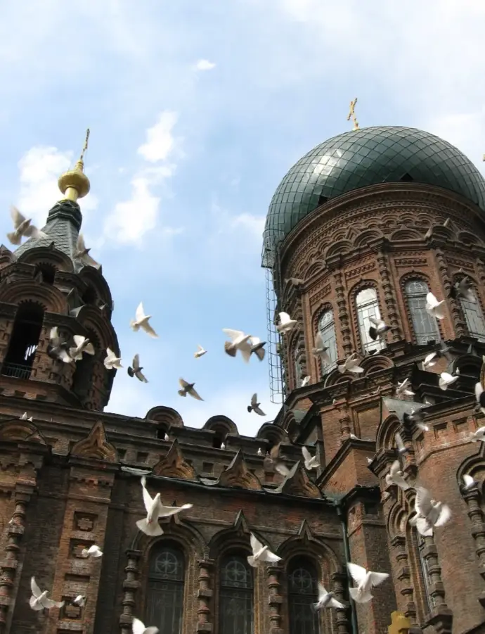 哈尔滨五日游攻略_雪乡旅游攻略住宿_雪乡亚布力旅游路线