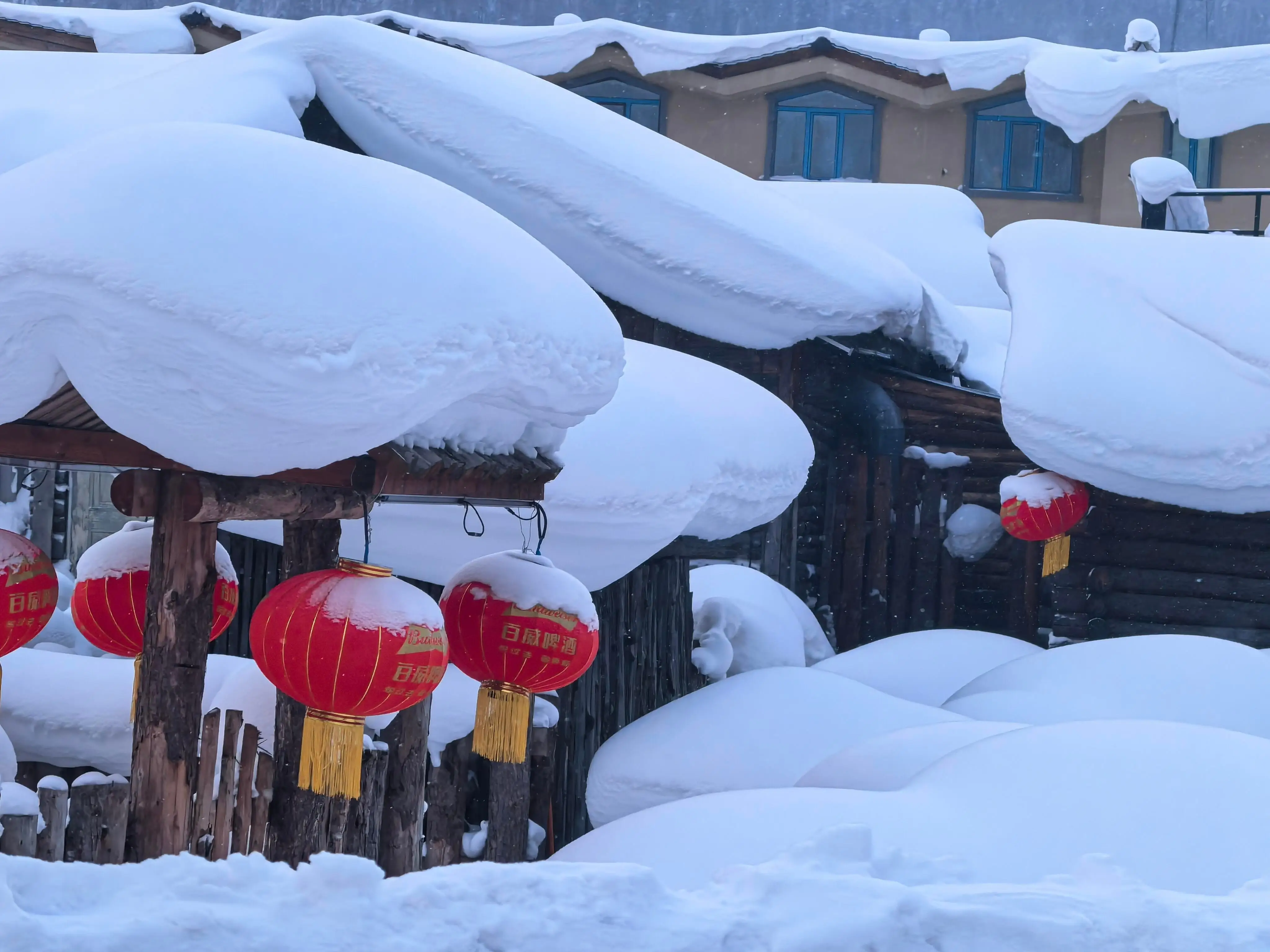 冬天去哈尔滨旅游攻略_雪乡滑雪体验_哈尔滨五日游