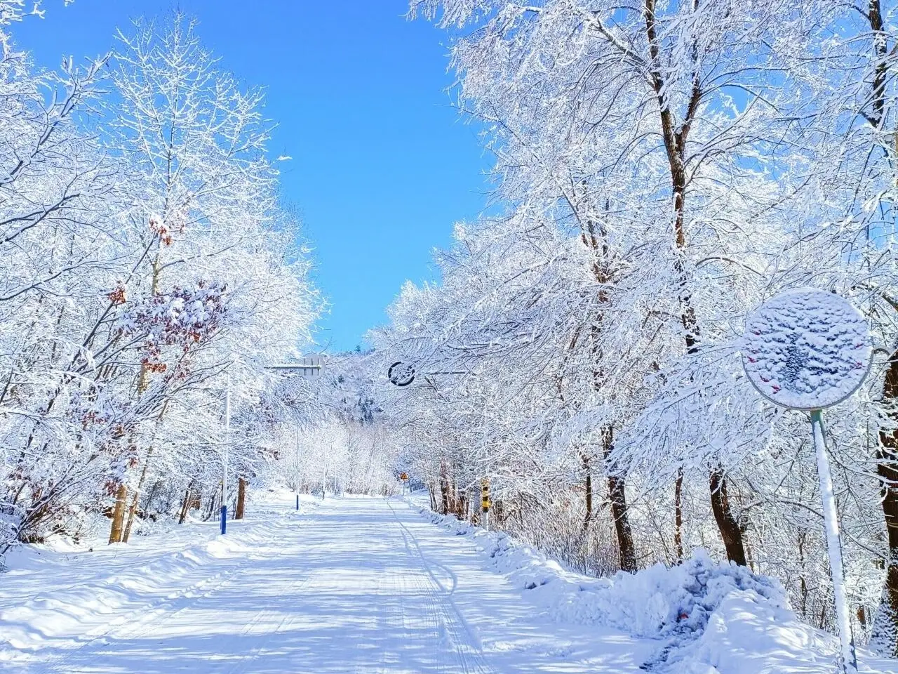 哈尔滨五日游_冬天去哈尔滨旅游攻略_雪乡滑雪体验