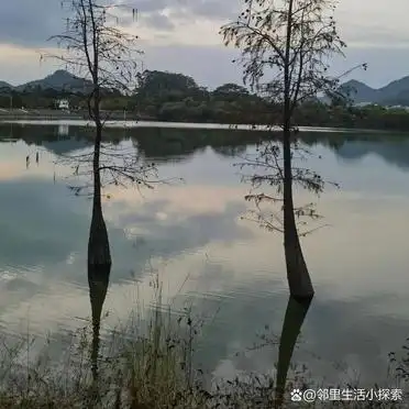 广州白水寨旅游攻略_避开人潮玩透古村_增城白水寨一日游攻略