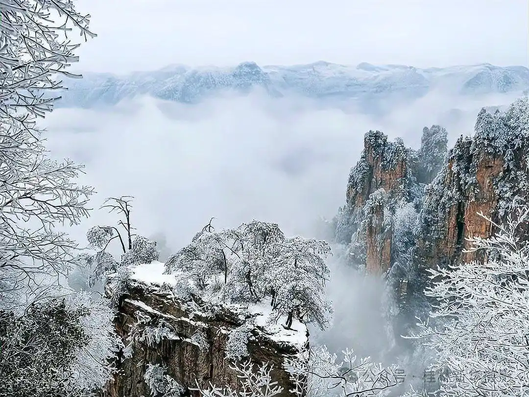 张家界冬天旅游攻略_张家界冬季旅游攻略_张家界冬季雪景景点推荐