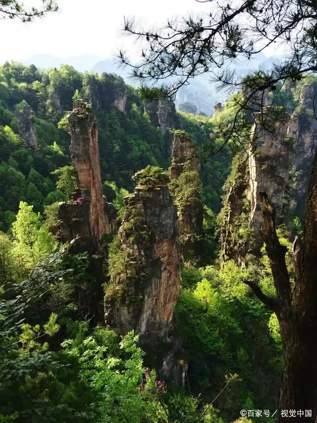 张家界冬天旅游攻略_张家界玻璃桥雪景_张家界冬季旅游攻略
