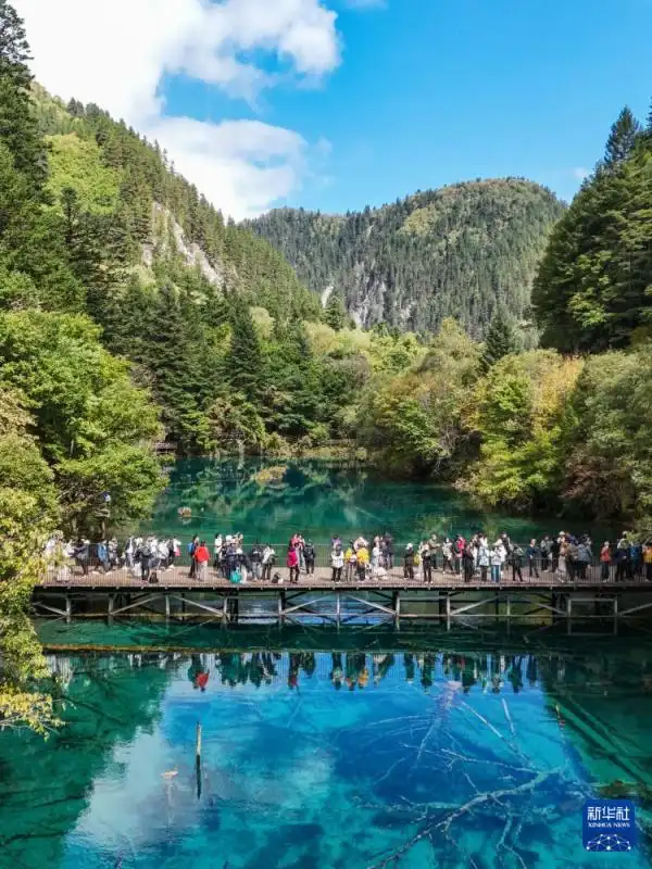 阿坝州九寨沟黄龙旅游攻略_黄龙旅游攻略黄龙景图_九寨黄龙高铁站直达景区交通方式