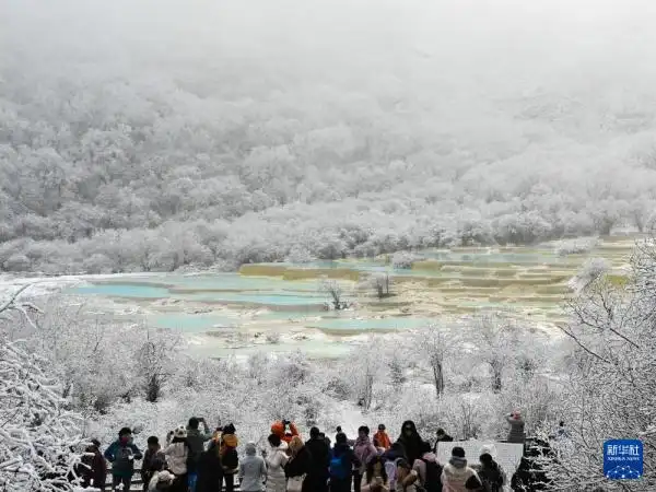 阿坝州九寨沟黄龙旅游攻略_黄龙旅游攻略黄龙景图_九寨黄龙高铁站直达景区交通方式