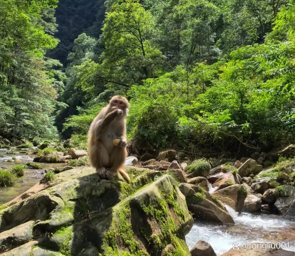 张家界冬季旅游攻略_张家界冬天旅游攻略_张家界12月五日游路线