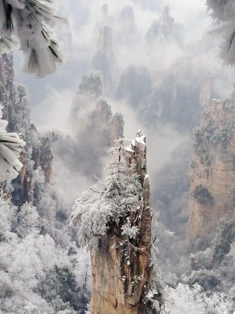 张家界冬天旅游攻略_冬季张家界旅游攻略_张家界冬季冷风景热体验