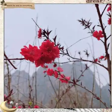 自驾北京十渡旅游攻略_十渡风景区自驾游指南_北京春夏自驾游十渡攻略