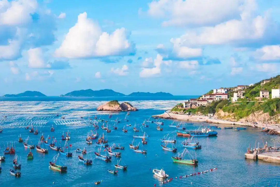 浙江嵊泗旅游攻略_嵊泗东三岛旅游攻略_嵊山岛梭子蟹美食体验
