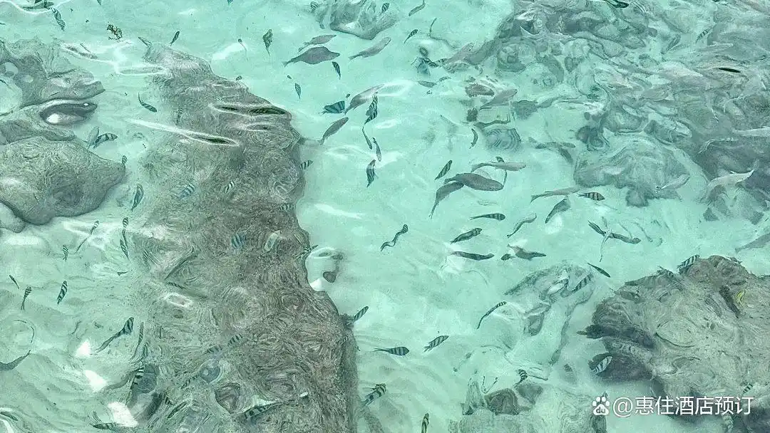 三亚亲子游推荐_三亚旅游攻略_三亚亲子旅游攻略自由行