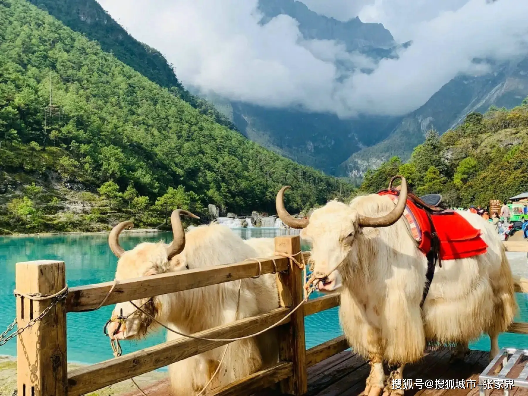 云南自由行六天五晚费用景点行程安排_云南当地导游阿洁推荐_丽江自由行旅游攻略5天