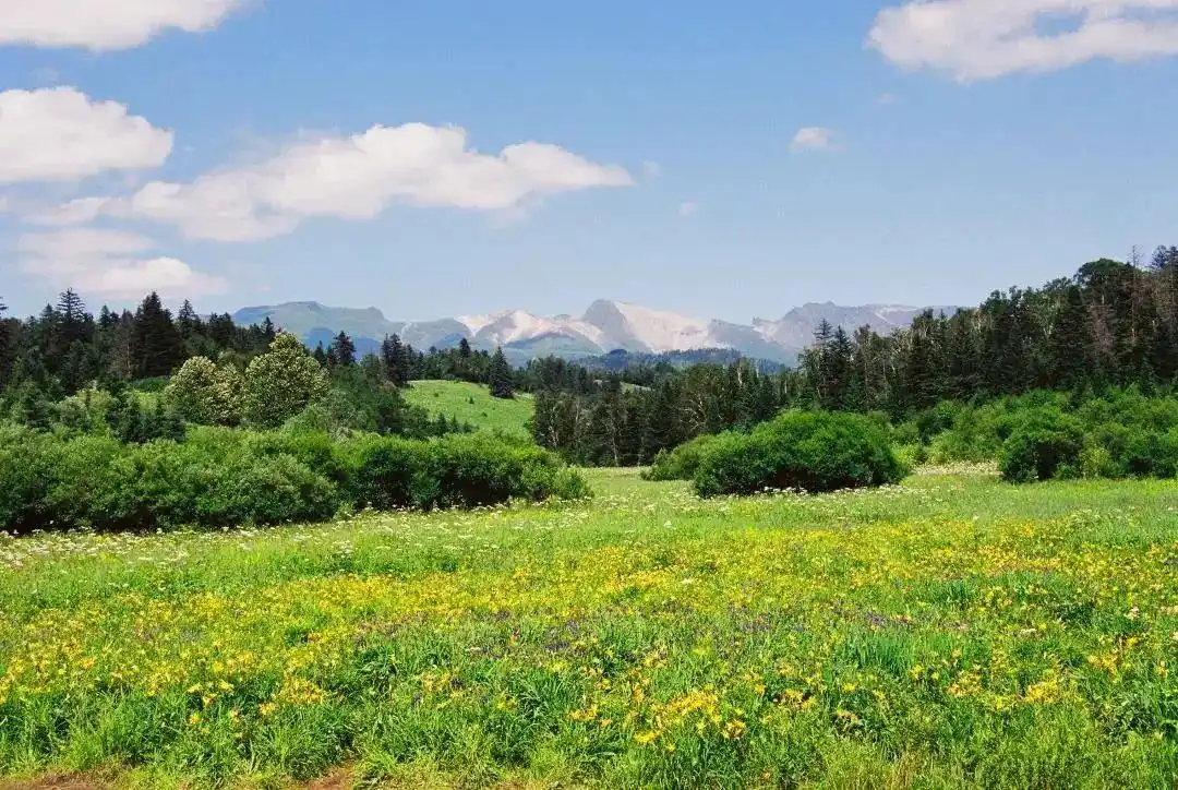 长白山西景区游玩攻略_镜泊湖长白山旅游攻略_长白山南景区天池视角