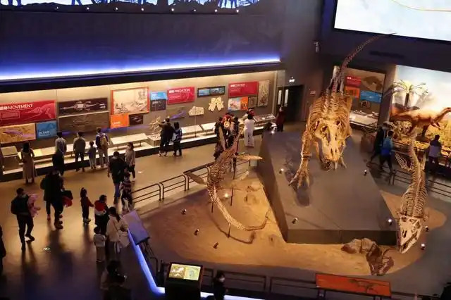 天津滨海旅游攻略_天津滨海新区必游景点推荐_天津滨海新区旅游景点
