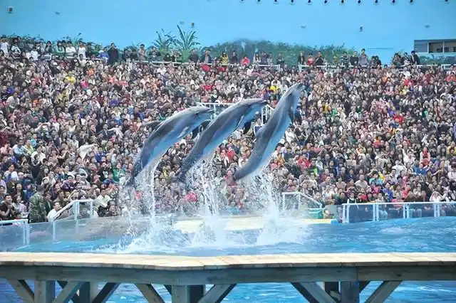 天津滨海旅游攻略_天津滨海新区必游景点推荐_天津滨海新区旅游景点