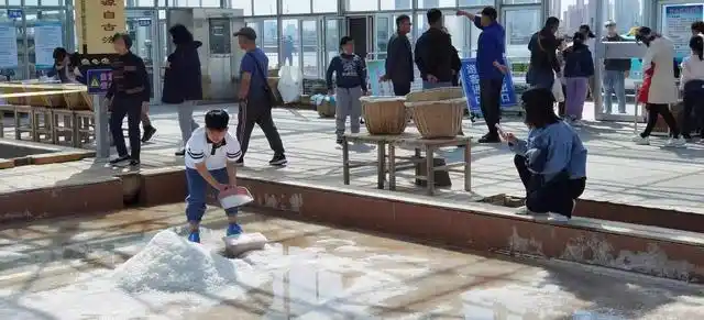 天津滨海新区旅游景点_天津滨海旅游攻略_天津滨海新区必游景点推荐