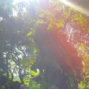 凤苑私厨顺德美食推荐_广州到顺德旅游攻略_广州到顺德两日游攻略