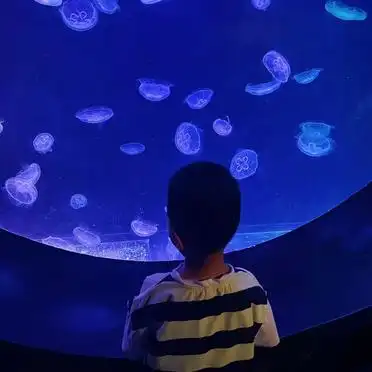 南京金牛湖景区自驾游攻略_金牛湖旅游攻略_南京金牛湖地铁交通指南