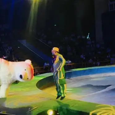 南京金牛湖地铁交通指南_金牛湖旅游攻略_南京金牛湖景区自驾游攻略
