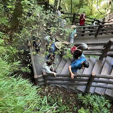 剑门蜀道剑门关旅游景区攻略_广元市6大必去景点_广元旅游攻略景点必去
