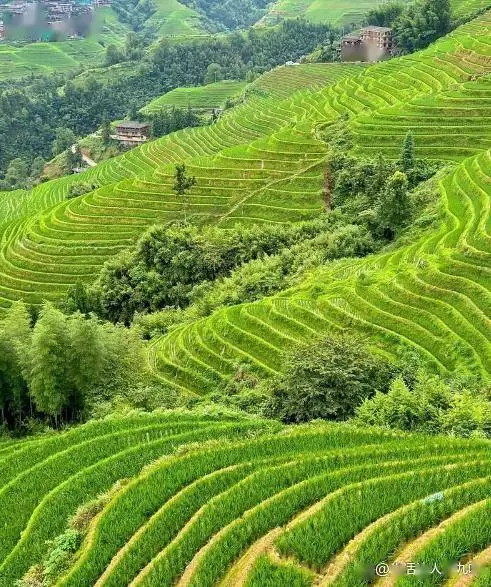 桂林阳朔漓江旅游攻略_桂林十大必去景点_桂林五大美食