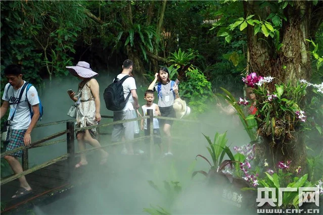 海南呀诺达景区特色体验_呀诺达旅游攻略_呀诺达自驾游家庭游攻略