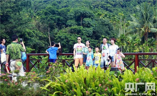 呀诺达旅游攻略_海南呀诺达景区特色体验_呀诺达自驾游家庭游攻略