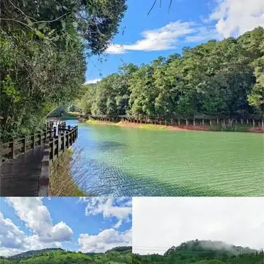 <strong>普洱市旅游攻略</strong>_普洱3天2晚行程_<strong>普洱市旅游攻略</strong>