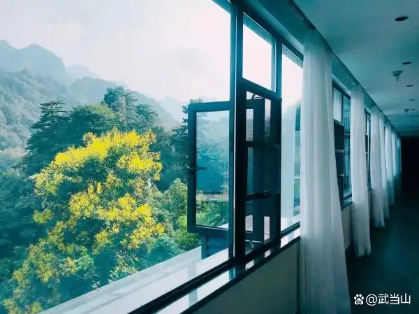 武当山冬季旅游攻略_武当山旅游最实用攻略_武当山景区通票半价优惠