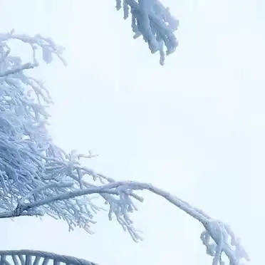 张家界冬季雪景攻略_
_张家界冬天旅游攻略
